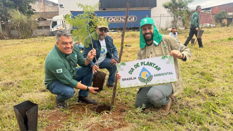 A proteção da vegetação nativa teve destaque: o DF registrou queda histórica de 95,1% no desmatamento, segundo o MapBiomas, e plantou 15 mil mudas nativas em áreas prioritárias | Fotos: Divulgação/Sema-DF