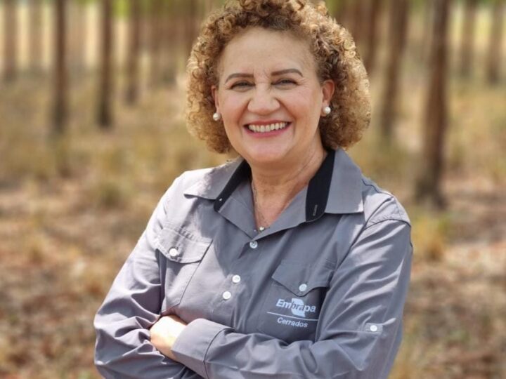 Solo saudável: o grande trabalhador da agricultura brasileira