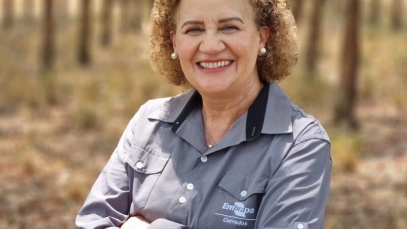 Solo saudável: o grande trabalhador da agricultura brasileira