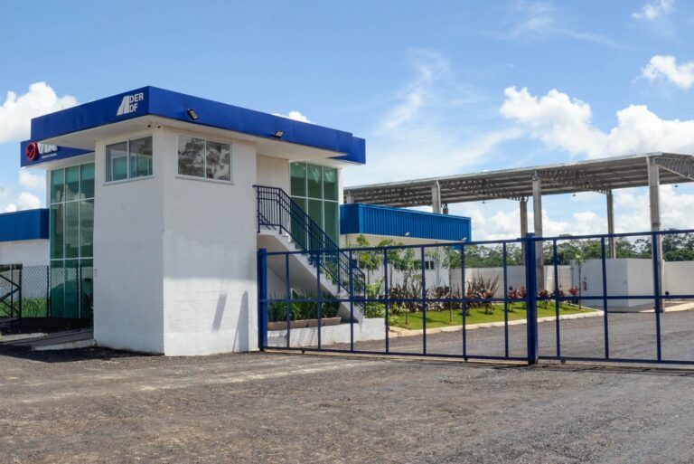 Os veículos foram retidos em operações de fiscalização de trânsito e não foram reclamados por seus proprietários dentro do prazo legal | Foto: Divulgação/DER-DF