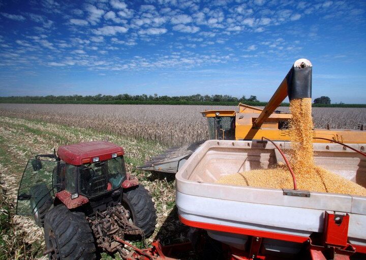 BNDES libera R$ 15,3 bilhões para o Plano Safra 2025-26