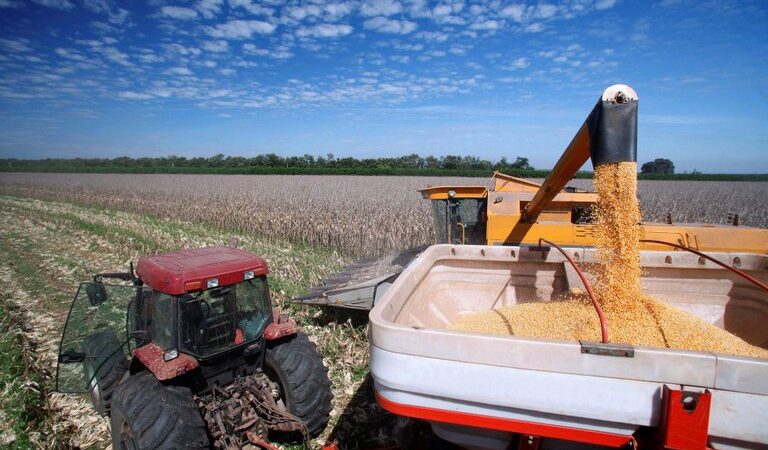 BNDES libera R$ 15,3 bilhões para o Plano Safra 2025-26