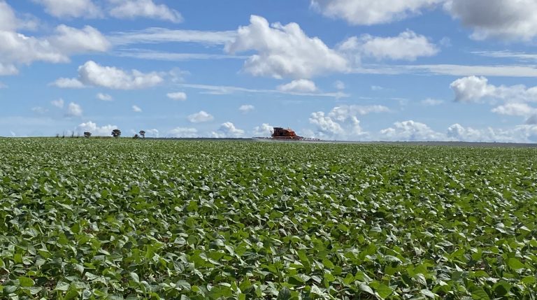 GDF facilita entrega da declaração de soja com atendimento itinerante