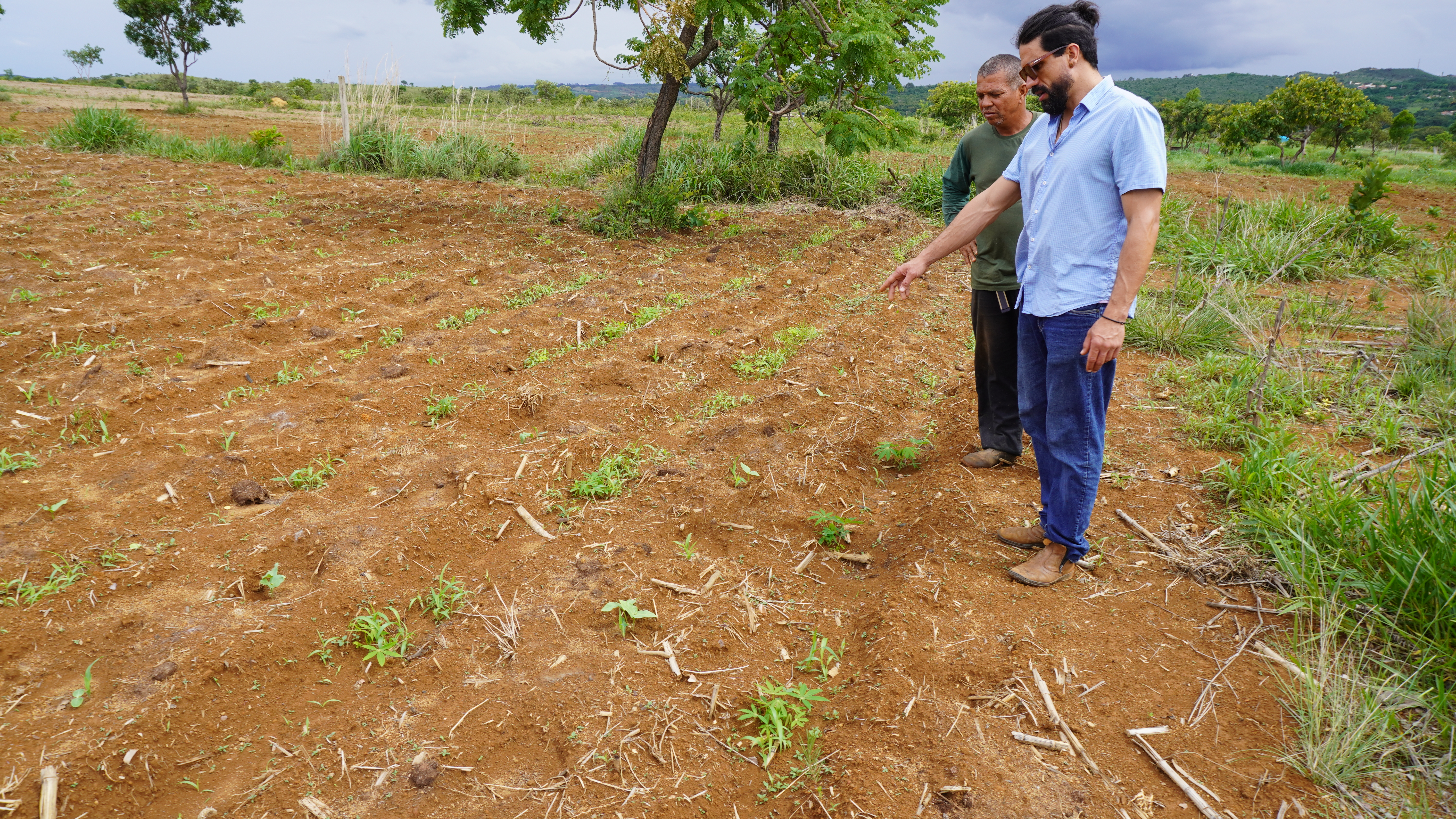 DF bate meta e cresce número de produtores orgânicos certificados