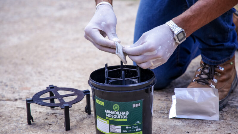 Saúde visitou mais de 1,8 milhão de casas no combate à dengue em 2025