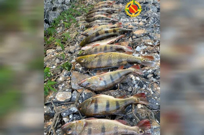 PMDF apreende peixes e redes no Lago Paranoá