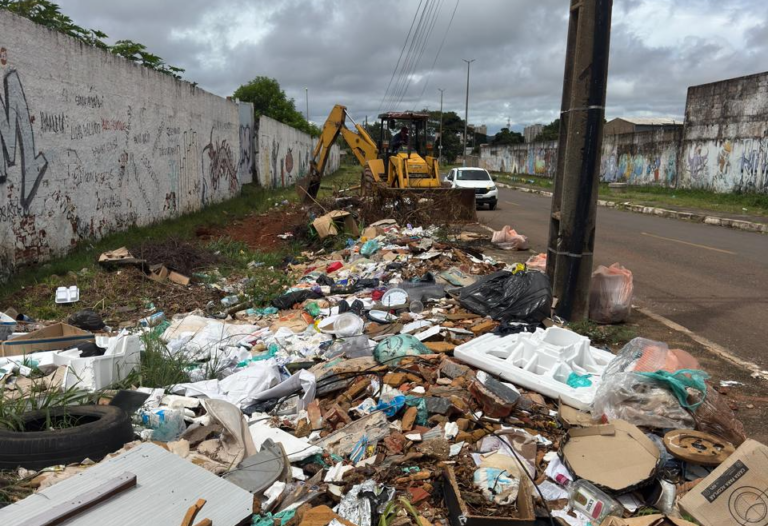 A ação contemplou a remoção de lixo doméstico descartado irregularmente, entulho, eletrodomésticos, pneus e embalagens plásticas acumuladas em áreas públicas | Foto: Divulgação/Administração de Ceilândia