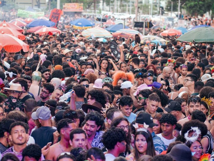 Bloco As Leis de Gaga encerra terça de carnaval no Museu Nacional