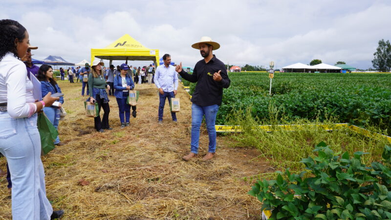 Dia de Campo reúne produtores para avaliar 53 tipos de soja