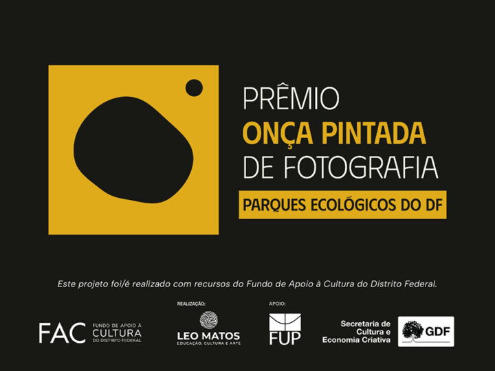 Prêmio de Fotografia Onça Pintada abre inscrições com prêmios