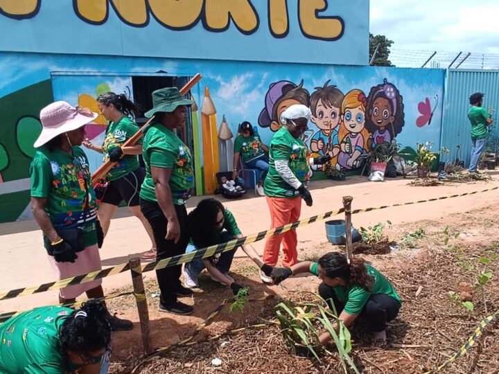 Projeto da UnB combate alagamentos no Sol Nascente