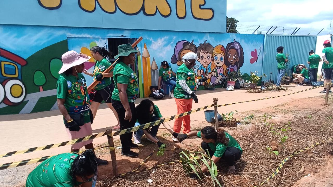 Projeto da UnB combate alagamentos no Sol Nascente