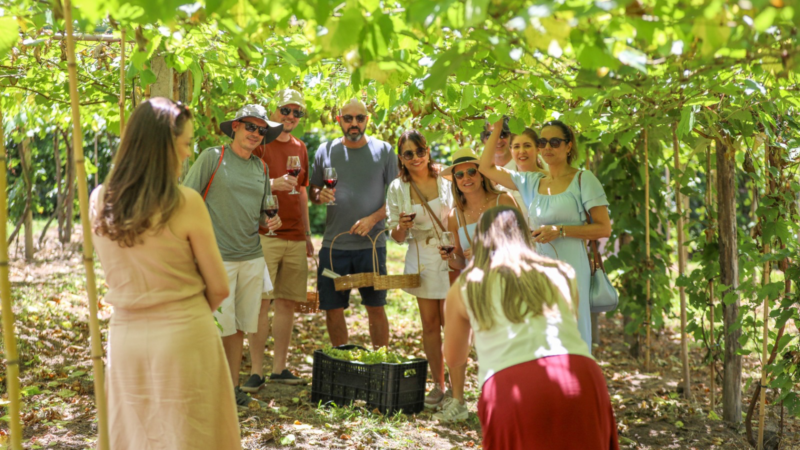 Conheça as vinícolas de Brasília que são sucesso no Carnaval
