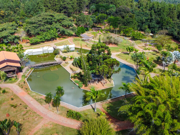 Jardim Botânico de Brasília completa 41 anos com programação especial