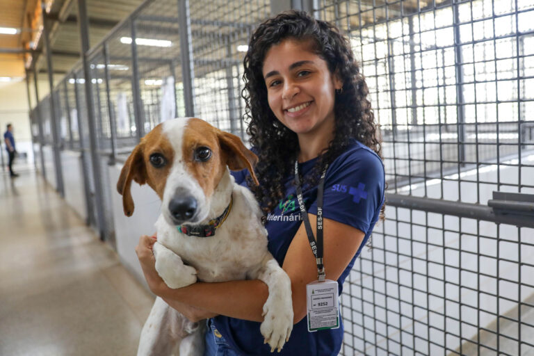 Andressa Jalyne, gerente da Zoonoses: “Estamos sempre atentos cuidando da saúde desses animais, que estão prontos para serem adotados” | Foto: Joel Rodrigues/Agência Brasília