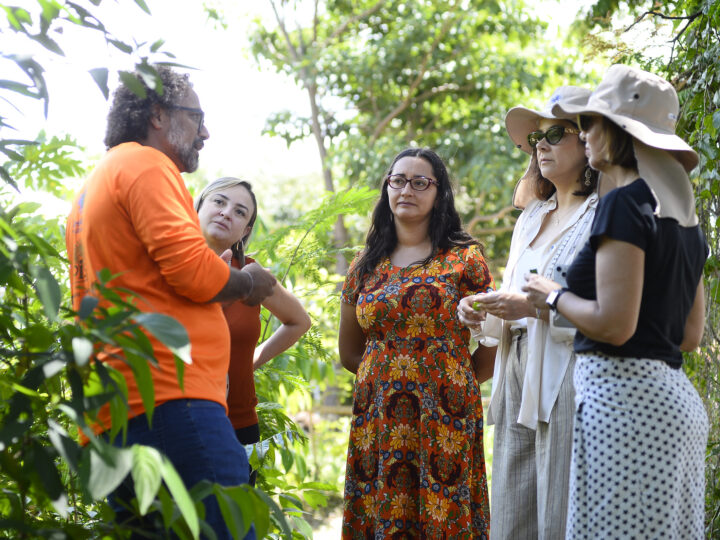 ONU conhece produção sustentável em hortos agroflorestais do DF