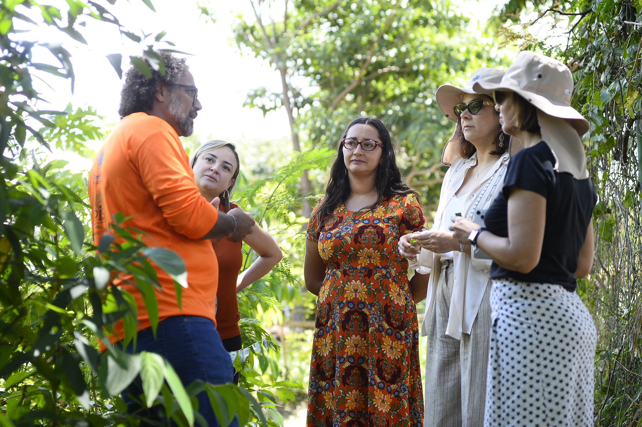 ONU conhece produção sustentável em hortos agroflorestais do DF