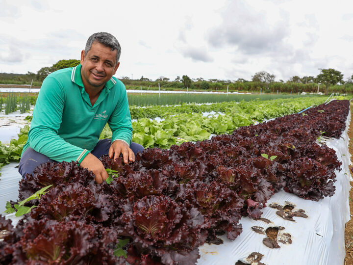 Assistência rural cresce vinte e quatro por cento no Distrito Federal