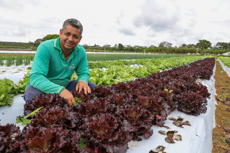 Assistência rural cresce vinte e quatro por cento no Distrito Federal