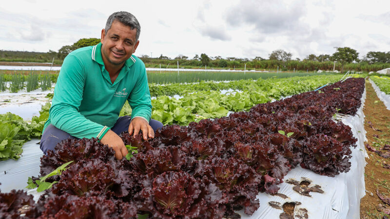Assistência rural cresce vinte e quatro por cento no Distrito Federal