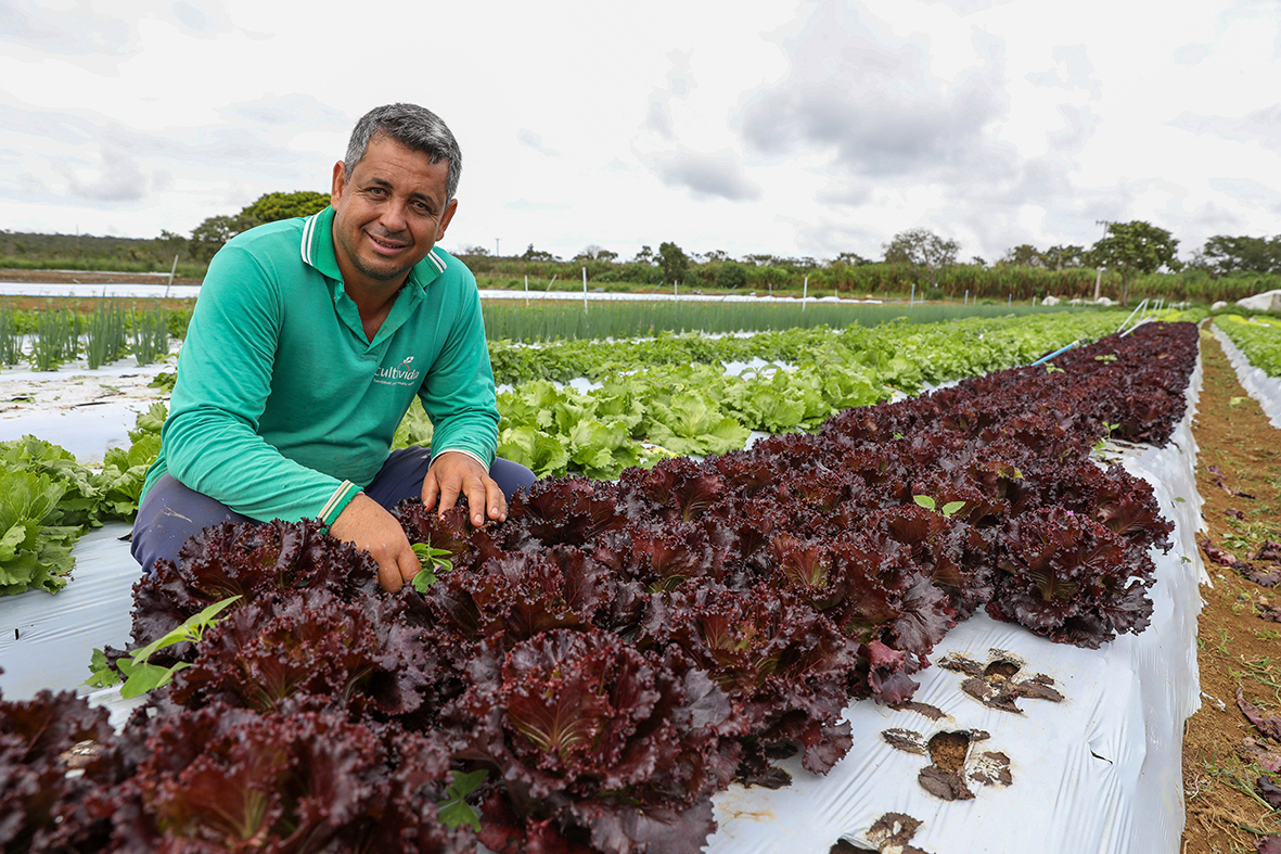 Assistência rural cresce vinte e quatro por cento no Distrito Federal