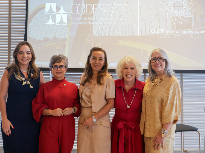 Educação do DF apresenta avanços da gestão para o Codese-DF