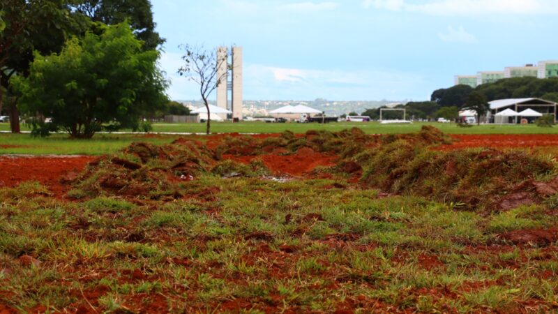 Esplanada dos Ministérios recebe reforma no gramado central