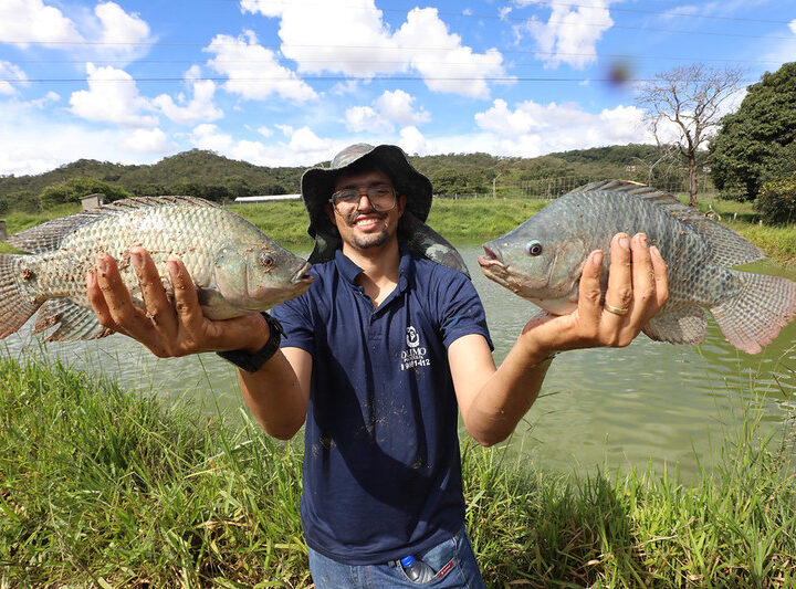 Peixes do DF registram aumento de produção e movimentam economia