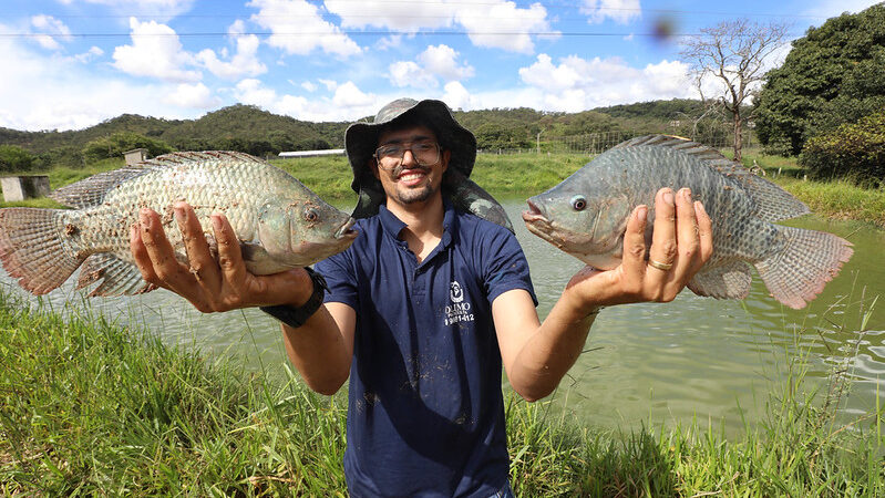Peixes do DF registram aumento de produção e movimentam economia