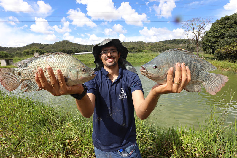 Peixes do DF registram aumento de produção e movimentam economia