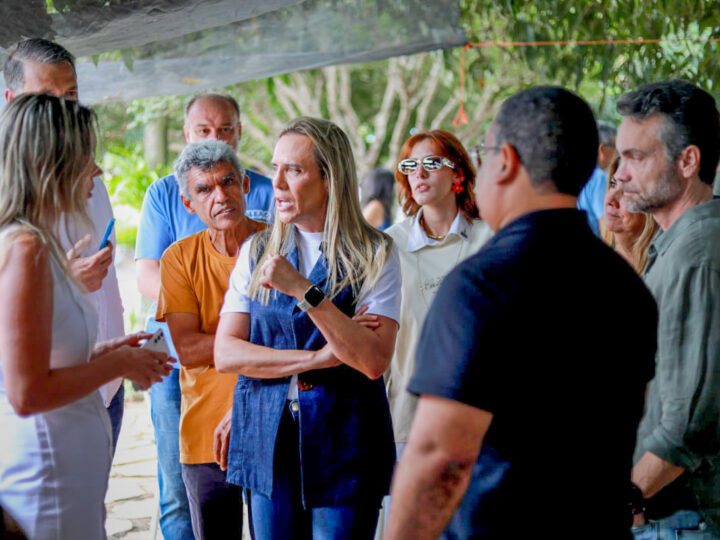 Celina Leão ouve demandas de lideranças do agro em Brasília