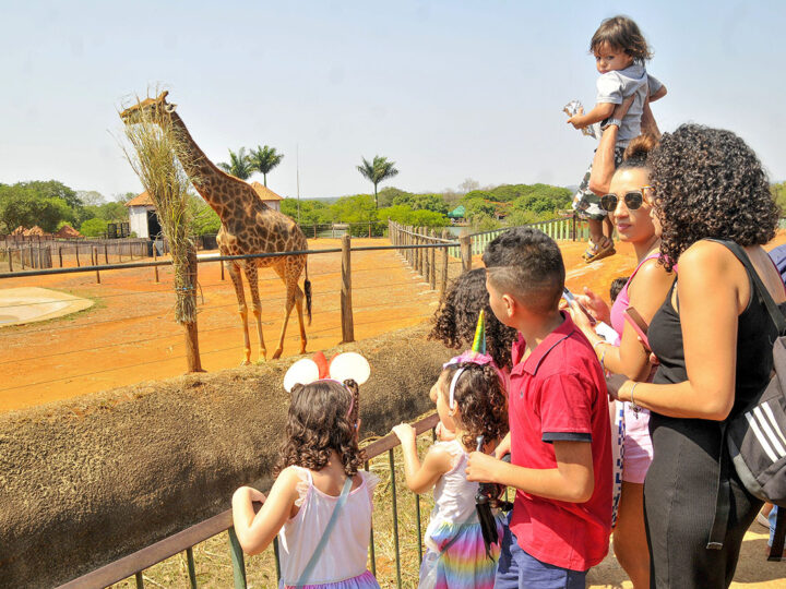 Abre e fecha do feriado prolongado tem horários especiais no DF