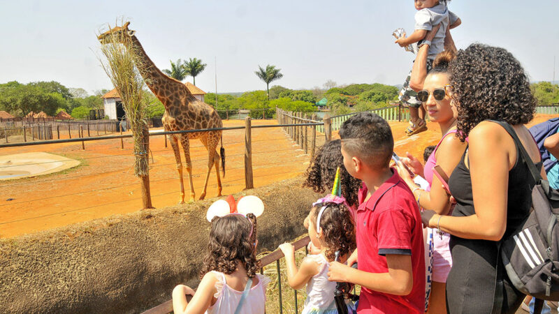 Abre e fecha do feriado prolongado tem horários especiais no DF
