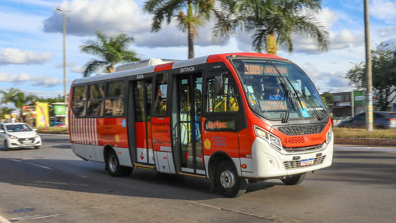 Zebrinhas do DF batem recorde com mais de 21 mil acessos diários