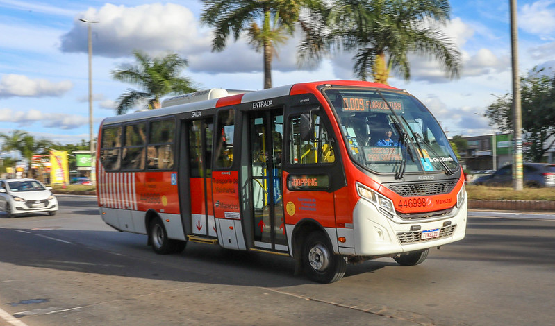 Zebrinhas do DF batem recorde com mais de 21 mil acessos diários