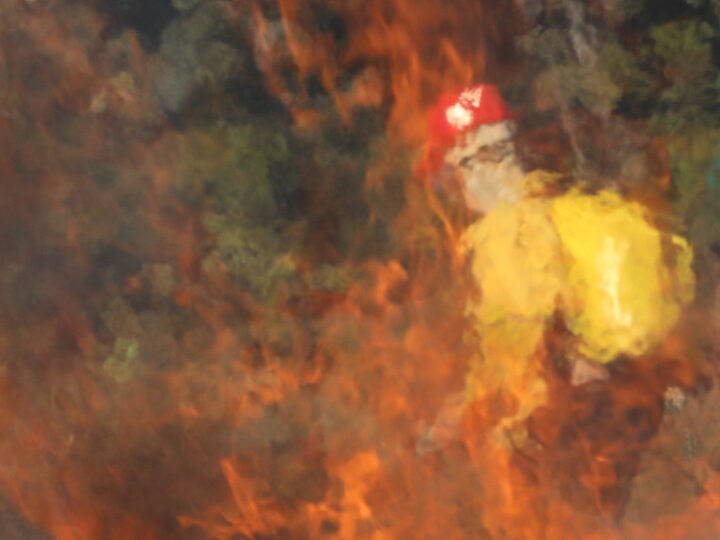Emergência ambiental é decretada pelo governo para combater incêndios