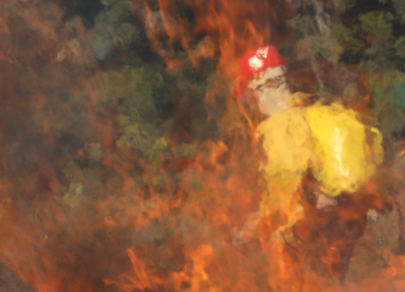 Emergência ambiental é decretada pelo governo para combater incêndios
