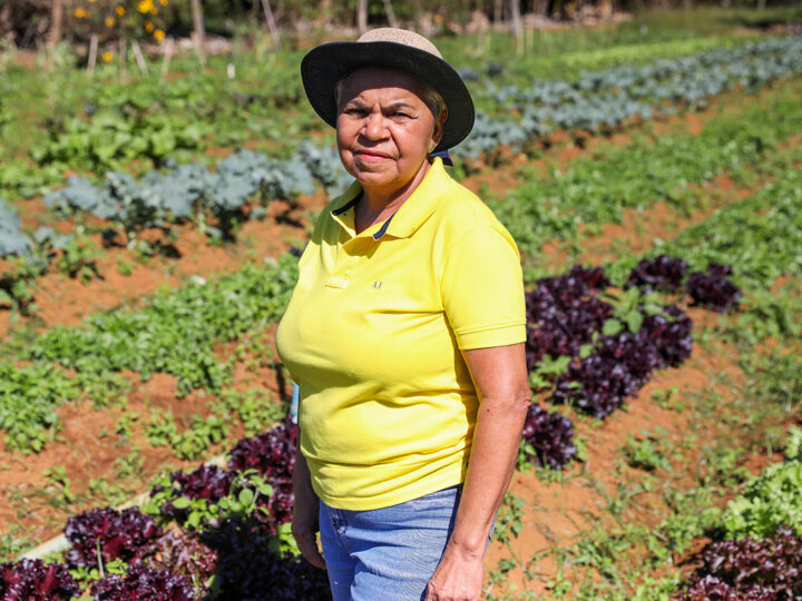 GDF apoia pequenos agricultores para ampliar produção