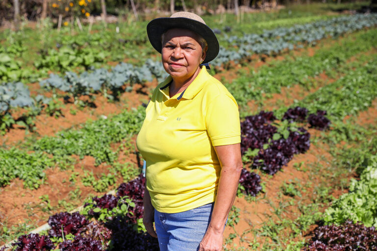 Em Brazlândia, a agricultora Marilene Maria de Souza, 66 anos, é uma das produtoras atendidas pelas ações desenvolvidas pela Emater-DF e pela Seagri-DF