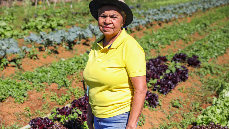 GDF apoia pequenos agricultores para ampliar produção