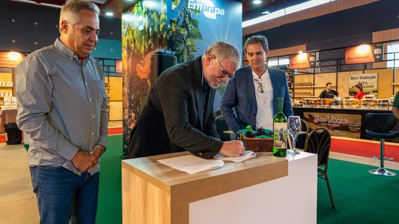 Vitivinicultura no Cerrado é impulsionada por acordo inédito