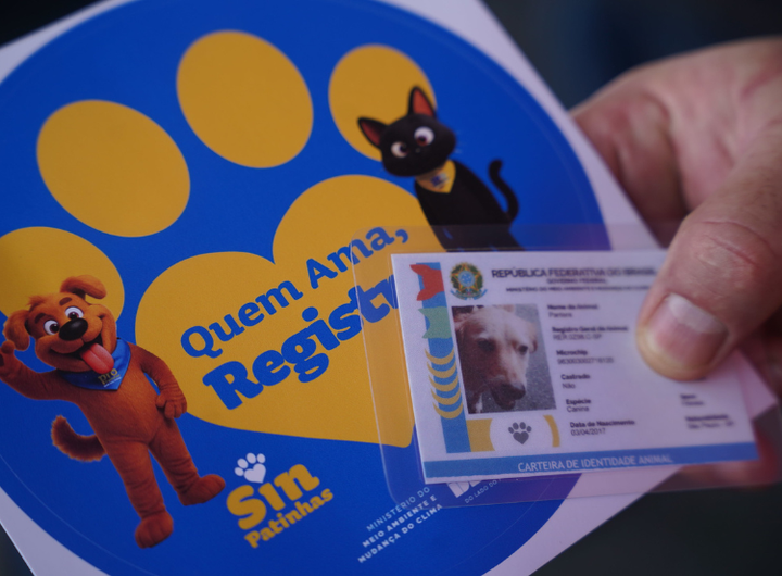 Castração gratuita mobiliza cuidados para cães e gatos em Brasília