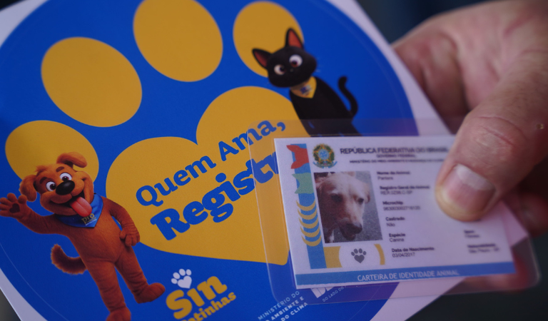 Castração gratuita mobiliza cuidados para cães e gatos em Brasília