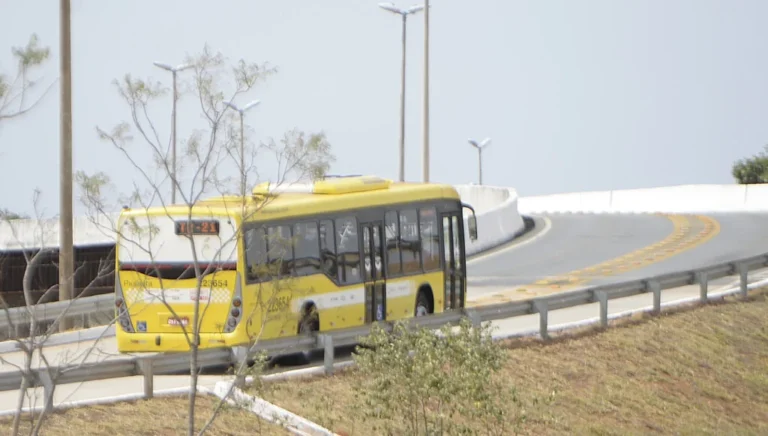 Linha de ônibus nova atende passageiros durante a Rua do Lazer