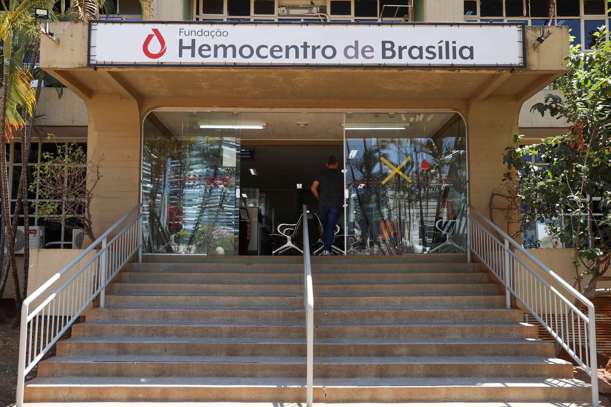 Doença Falciforme tem novos documentos de identificação no DF