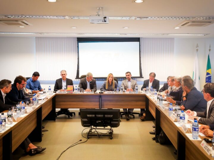 Celina Leão discute habitação e regularização com setor imobiliário