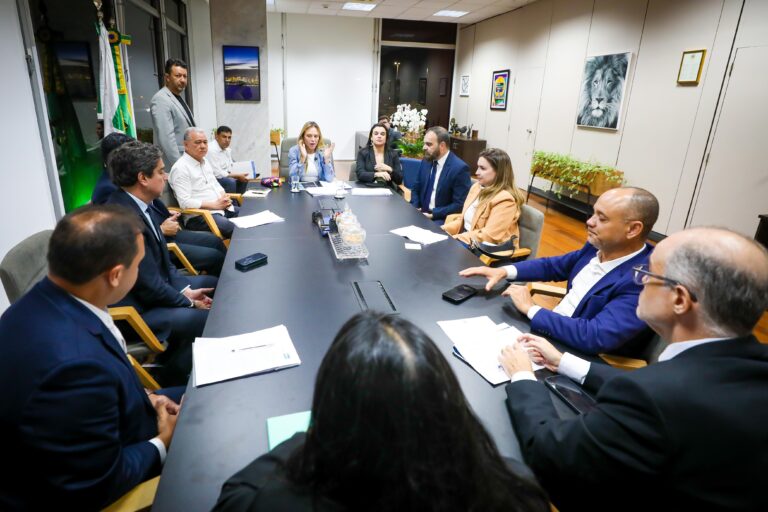 Celina Leão: "É uma decisão corajosa, mas necessária" | Foto: George Gianni/GDF