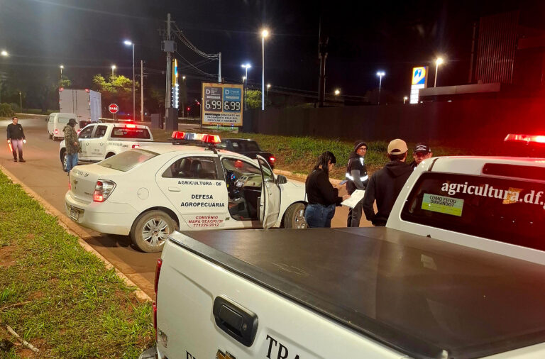 Durante a operação foram abordadas 113 cargas, totalizando aproximadamente 300 mil quilos de produtos vegetais inspecionados | Foto: Diviulgação Seagri/DF
