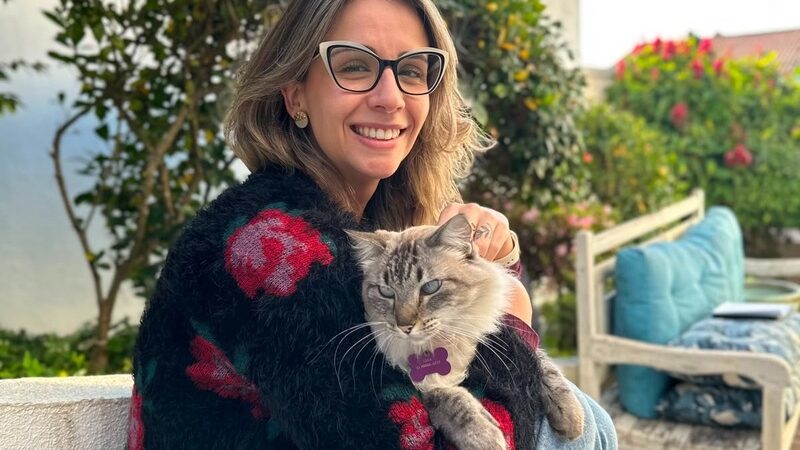 Envelhecimento de pets exige prevenção e cuidados médicos