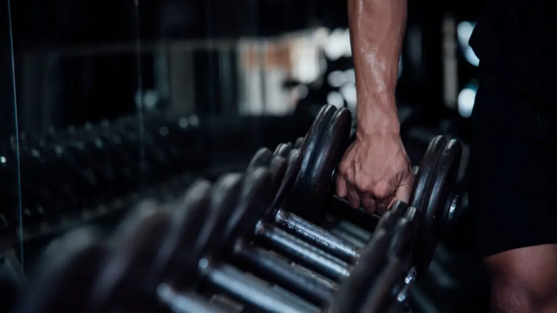 Musculação transforma rotinas e melhora a composição corporal